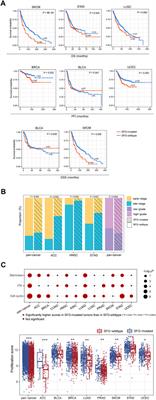 The mutation in splicing factor genes correlates with unfavorable prognosis, genomic instability, anti-tumor immunosuppression and increased immunotherapy response in pan-cancer